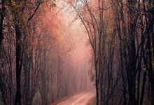 征途国际：全红婵18岁生日快乐！父亲送祝福让人泪目：希望她开心快乐每一天.