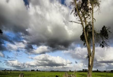 征途国际：中国女足战平加拿大 米利西奇磨合阵容2025-02-21.