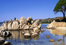 征途国际：全红婵18岁生日快乐！父亲送祝福让人泪目：希望她开心快乐每一天.